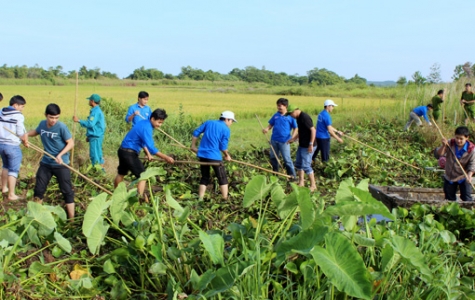 Huyện đoàn Bến Cát: Ra quân nạo vét kênh mương