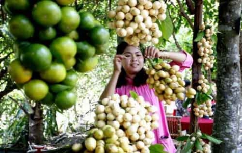 Ngành Văn hóa – Thể thao - Du lịch Bình Dương: 10 sự kiện tiêu biểu năm 2013