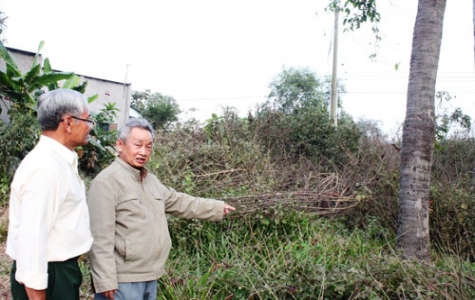 “Hạt giống đỏ” vùng Chiến khu Đ