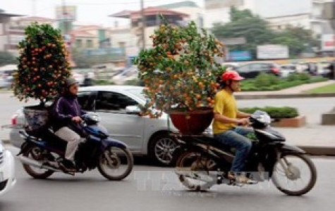 Nắng ấm trên cả nước trong những ngày cuối năm Quý Tỵ