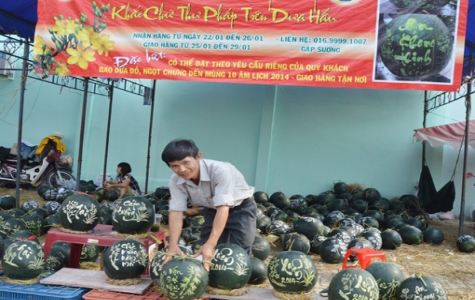 Rực rỡ chợ hoa Xuân Giáp Ngọ Bình Dương 2014