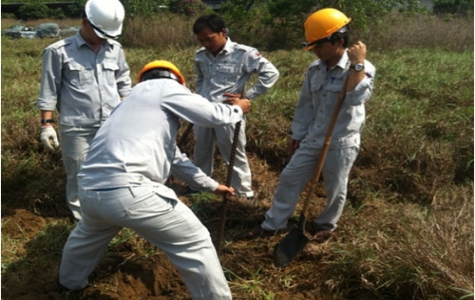 Quan trắc chất lượng môi trường đất: Chưa biến động nhiều