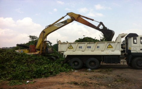 Thu gom lục bình:  Cần có biện pháp xử lý hiệu quả hơn