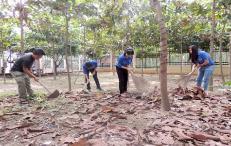 Ý nghĩa thiết thực từ phong trào trồng cây nhớ Bác