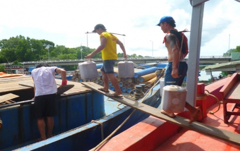 Long đong cá cơm Phú Quốc - Hủy hoại ngư trường