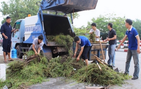 Phường Phú Cường (TP.TDM) ra quân vớt rác, lục bình, khơi thông dòng chảy