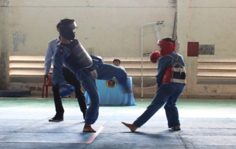 Khai mạc Giải Vovinam thiếu niên-nhi đồng mở rộng năm 2014