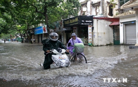 Phó Thủ tướng chỉ đạo tập trung sơ tán dân trước cơn bão