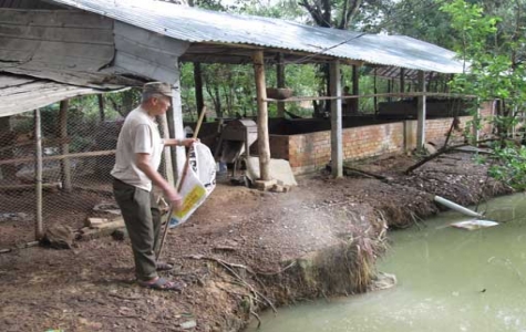 Ông Nguyễn Văn Tròn: Cựu chiến binh sản xuất giỏi