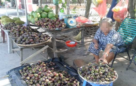 Để thương hiệu măng cụt Lái Thiêu vang xa...