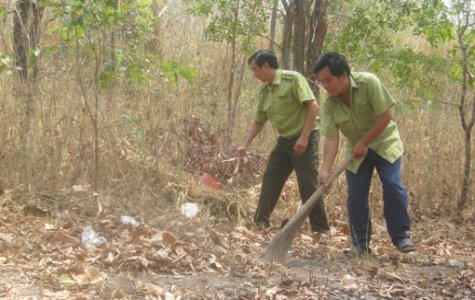 Rừng phòng hộ đầu nguồn Dầu Tiếng: Quản lý bền vững, khai thác tiềm năng