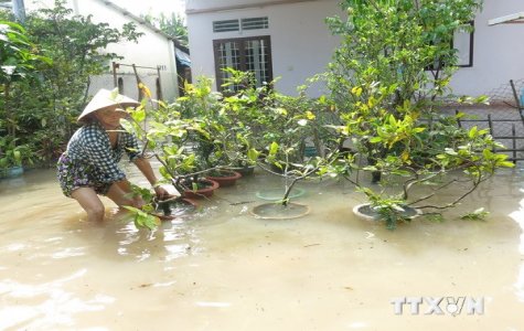 Mưa lan rộng, triều cường phía Nam đạt đỉnh sẽ gây ngập úng