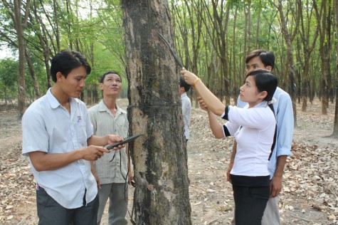 Cơ hội lập nghiệp tại quê nhà