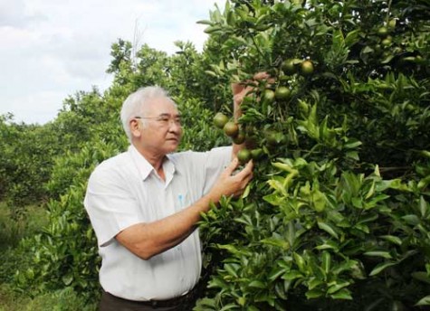 Phong trào nông dân sản xuất, kinh doanh giỏi: Xuất hiện nhiều cách làm hiệu quả