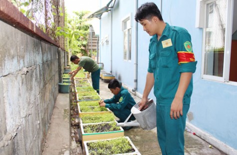 Ngành hậu cần lực lượng vũ trang tỉnh: Thi đua làm theo lời Bác