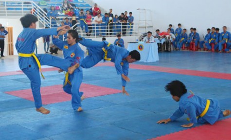 Bình Dương: Khai mạc giải cúp các CLB Vovinam năm 2014