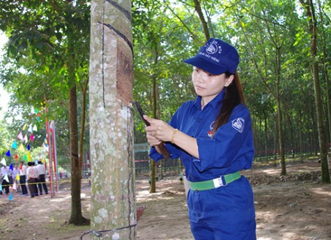 Đoàn Thanh niên Nông trường Cao su Long Nguyên: Phát huy vai trò xung kích