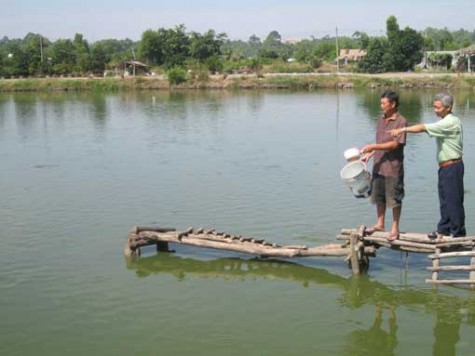 Thành công từ niềm đam mê