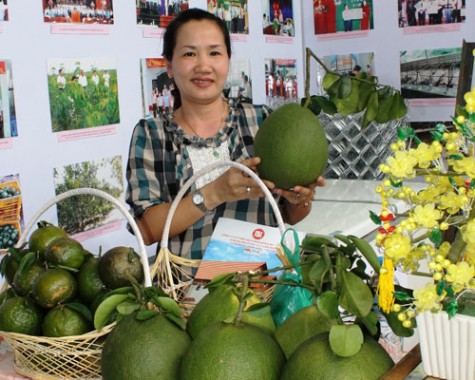 Nhiều sản phẩm bưởi đặc sản Bình Dương có mặt tại hội chợ