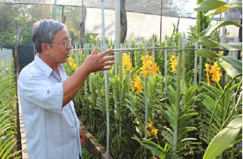 Hội Nông dân huyện Phú Giáo: Điểm sáng trong phong trào Nông dân sản xuất, kinh doanh giỏi