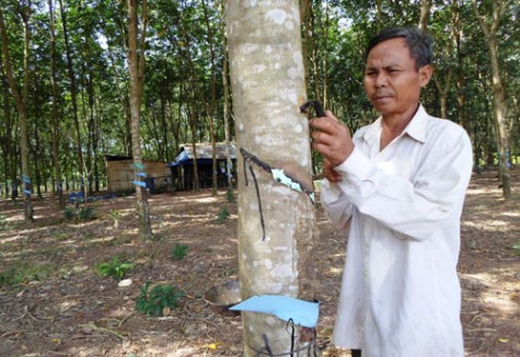 Đồng bào dân tộc thiểu số: Đón một cái tết đủ đầy, ấm áp