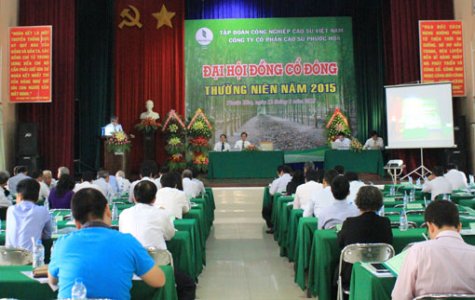 Năm 2015, Công ty cao su Phước Hòa phấn đấu đạt doanh thu 1.116 tỷ đồng