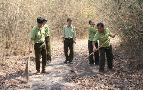 Nhiều biện pháp ứng phó với nguy cơ cháy rừng