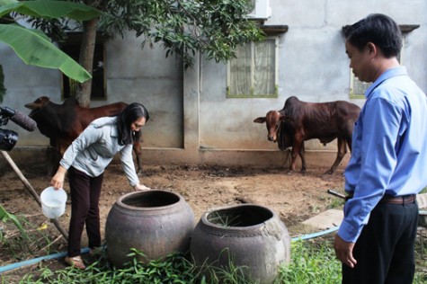 Bệnh sốt rét cần được chẩn đoán sớm, điều trị đúng thuốc, đủ liều