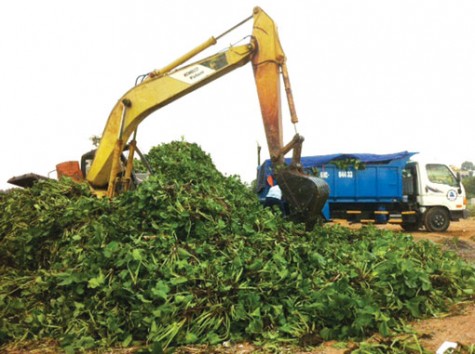 Bình Dương quyết tâm bảo vệ tài nguyên nước lưu vực sông Đồng Nai