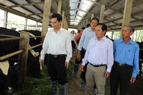 Ngành Nông nghiệp - Phát triển nông thôn Bình Dương: Đóng góp quan trọng cho quá trình phát triển của tỉnh