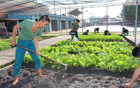 Đảng bộ Phòng Hậu cần, Bộ Chỉ huy Quân sự tỉnh: Đẩy mạnh phong trào “Ngành hậu cần quân đội làm theo lời Bác dạy”