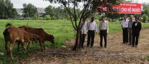 Trao tặng bò cho hộ nghèo