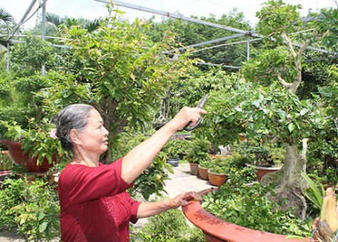 Cựu Thanh niên xung phong Phạm Thị Thanh:  Đức tính của người thanh niên xung phong, giúp tôi vượt qua khó khăn…