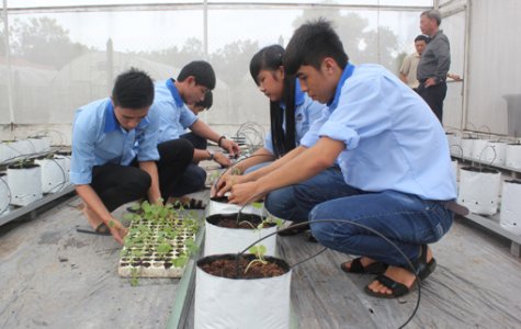 Học Trung cấp chuyên nghiệp: Tương lai vẫn sáng