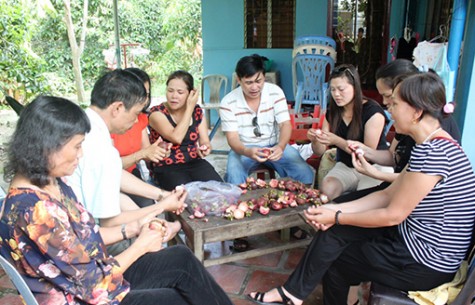 Phát triển vườn cây ăn trái gắn với du lịch sinh thái: Người dân chờ dự án đi vào thực tiễn