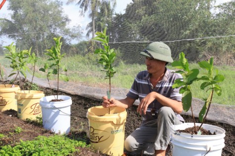 TX.Dĩ An: Nông nghiệp đô thị phát triển mạnh