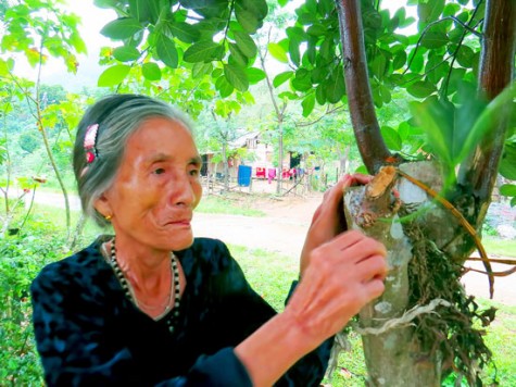 “Gia tài” đáng nể ở Rục