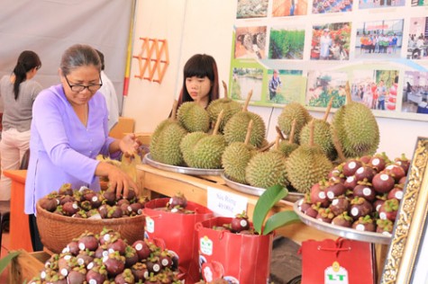 Sớm đưa Hưng Định thành đô thị dịch vụ, du lịch