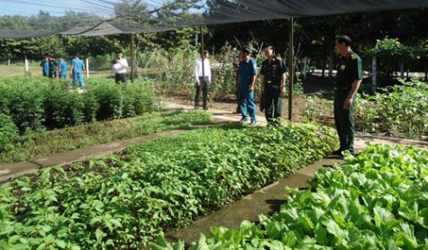 Phú Giáo: Khai mạc hội thi “Đơn vị tăng gia sản xuất giỏi” trong lực lượng vũ trang