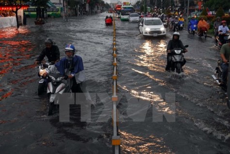 Nhiều chuyên gia Hà Lan hỗ trợ Thành phố Hồ Chí Minh chống ngập