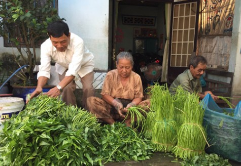 khu phố Mỹ Hảo 1, phường Chánh Mỹ, TP.Thủ Dầu Một: Đẩy mạnh học tập, làm theo Bác trong đồng bào có đạo