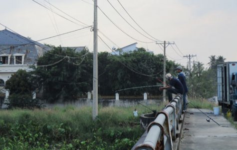 “Liều mạng” câu cá