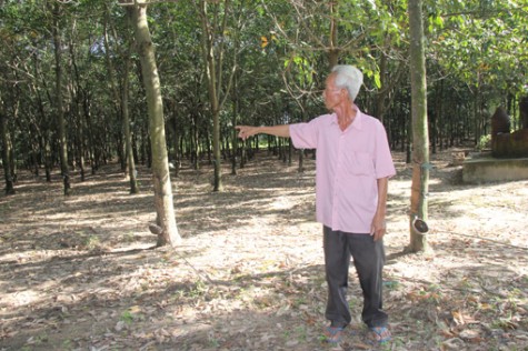 Xung quanh phản ánh của người dân ở ấp Tân An, xã Tân Vĩnh Hiệp, TX.Tân Uyên: Có hợp thức hóa quyền sử dụng đất từ đất công?