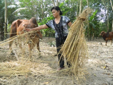 Hội Liên hiệp phụ nữ xã Thanh Tuyền, huyện Dầu Tiếng: Xứng đáng là chỗ dựa tin cậy cho chị em hội viên