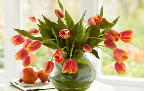 Đủ kiểu cắm hoa tulip dễ nhưng đẹp sang trọng