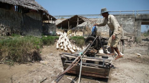 Sóc Trăng công bố tình trạng thiên tai do xâm nhập mặn