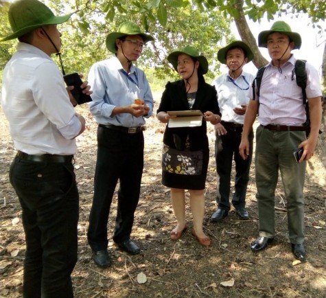 Chương trình hợp tác trong “Hoạt động nghiên cứu khoa học và chuyển giao công nghệ trên lĩnh vực nông nghiệp công nghệ cao”