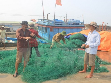 Thủ tướng yêu cầu hỗ trợ ngư dân trong vụ cá chết bất thường