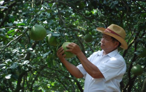 Anh dũng trong đấu tranh, anh hùng trong lao động