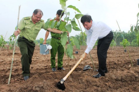 Bình Dương phát động Tết trồng cây